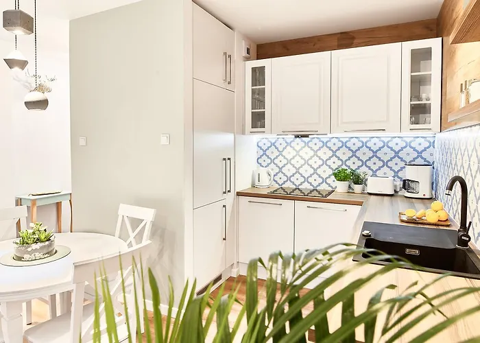 Mojito - Botanica Ii Breslavia